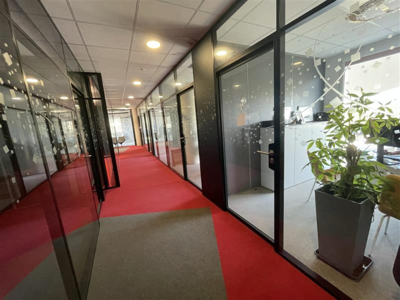Bureau Castelnau-le-Lez 579m² Vente bureau Castelnau-le-Lez Hérault OVBUR2425913 14